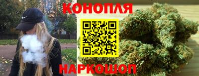 мяу мяу мука Новокубанск