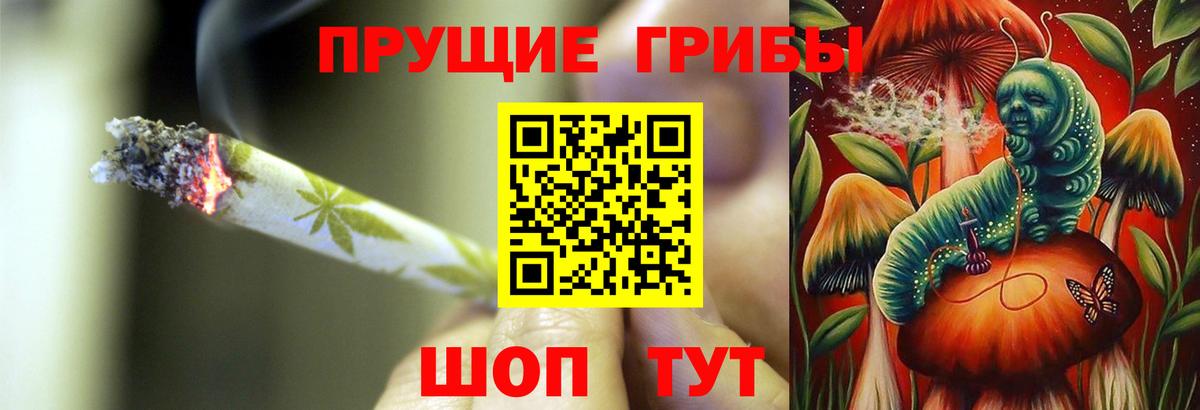 Среднеуральск  Галлюциногенные грибы Psilocybe  наркота  Вход с VPN 